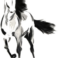 Galloping Entertainment Galloping Entertainment