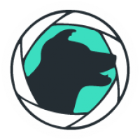 Seadog TV & Film Productions Ltd 