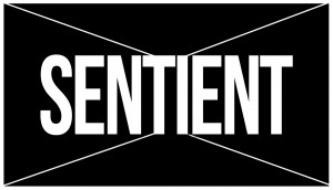 Sentient Films Ltd