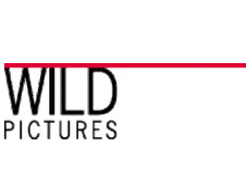 Wild Pictures