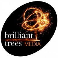 brilliant trees media brilliant trees media