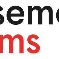 Basement Films Limited Basement Films Limited