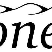 Iconem