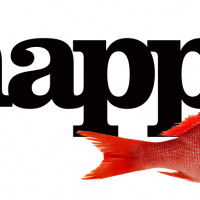 Snapper Films Snapper Films