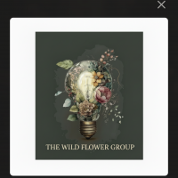 The Wild Flower Group The Wild Flower Group