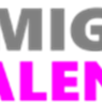 Amigo Talent Limited Amigo Talent Limited