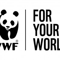 WWF UK