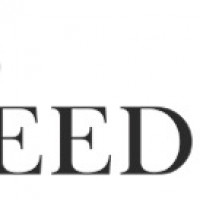 Breed Media Creative Ltd Breed Media Creative Ltd