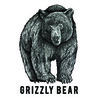 Grizzly Bear Grizzly Bear