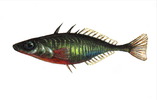 Stickleback Corporation Ltd Stickleback Corporation Ltd