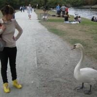 Maya Avidov Maya Avidov