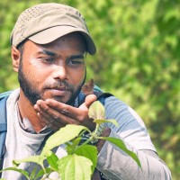 Kaushik Mukhopadhyay