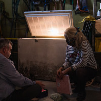 Meghan Mc Ardle Meghan Mc Ardle