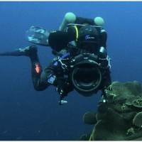 Andy McGregor Andy McGregor