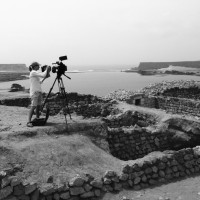 Kate Harvest Kate Harvest