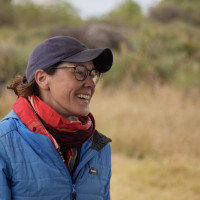 Anne Sommerfield Anne Sommerfield