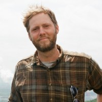 Ty Flowers Ty Flowers