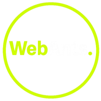 Web Ants