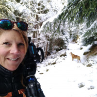 Rachel Bradley Rachel Bradley