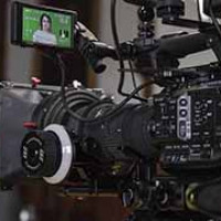 Rolf Media Rolf Media