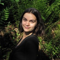 Sarah Sorrentino Sarah Sorrentino