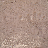 David Kennedy David Kennedy