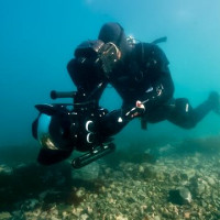 Calum Stronach Calum Stronach