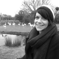 Vicki Lindsay Vicki Lindsay